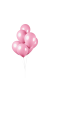 Roze Ballonnen 50 stuks