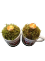 Kerst mok met mos en kaarsenhouder