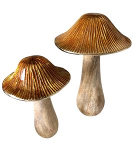 Paddestoel hout met steen