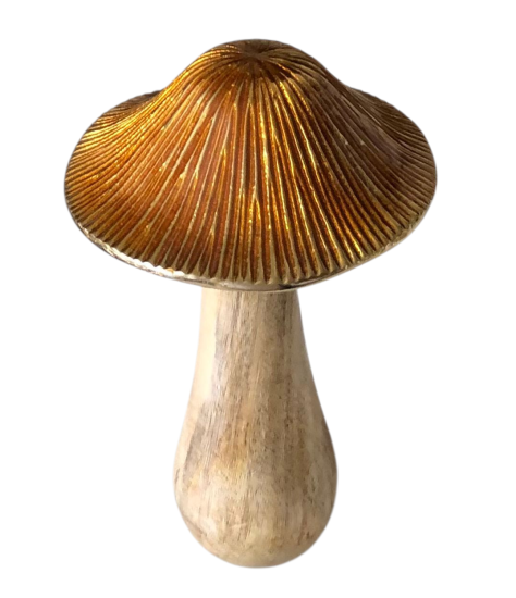 Paddestoel hout met steen