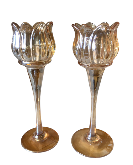 Set tulp theelichtjes