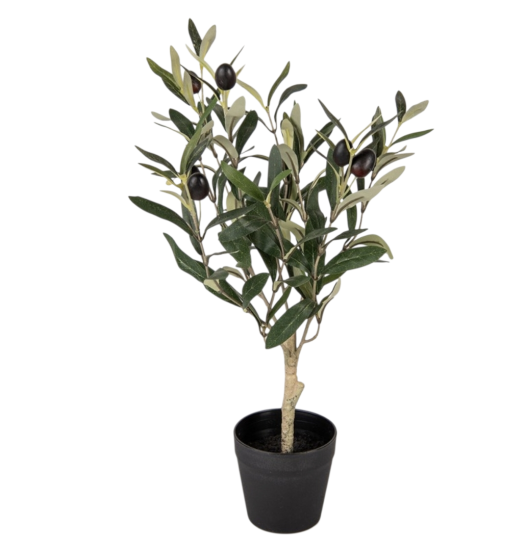 Clayre & Eef Kunst Olijfboom 50 cm
