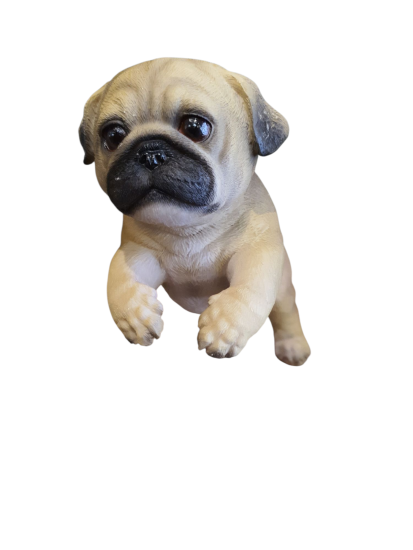 Franse Buldog op houder