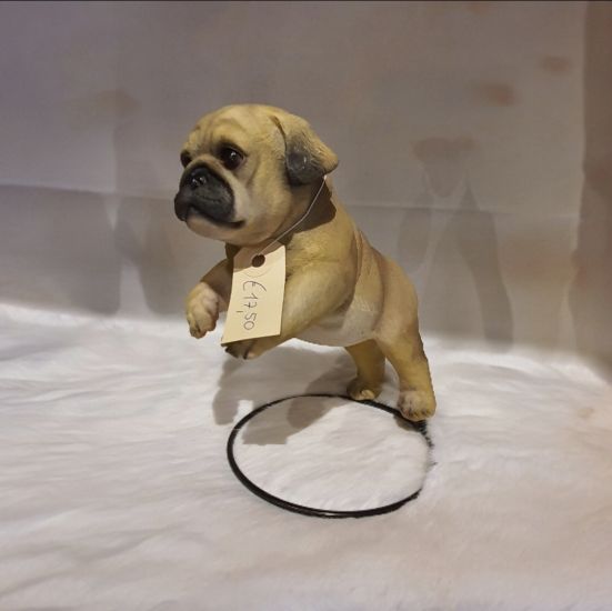 Franse Buldog op houder